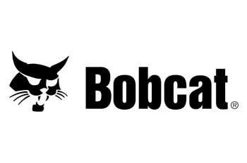 Bobcat