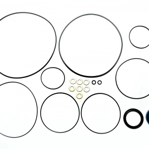 SEAL KIT DRIVE MOTOR
